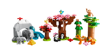 10974 Wild Animals of Asia