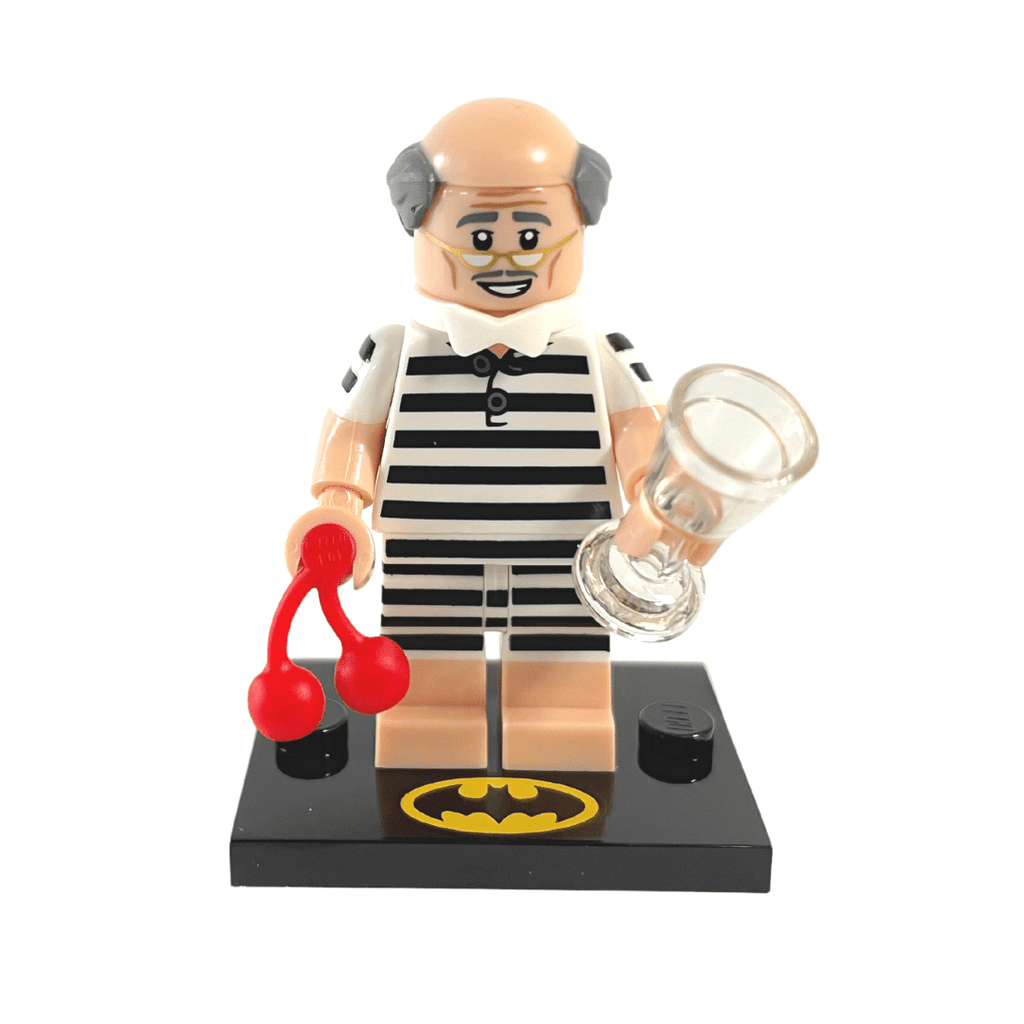 Vacation Alfred Pennyworth LEGO Batman Movie 2 Bricks And Minifigs vacation-alfred-pennyworth-lego-batman-movie-2-bricks-and-minifigs