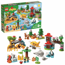 LEGO 10907