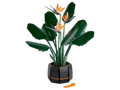 Bird of Paradise - LEGO® 10289 - Built, Preowned