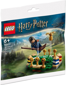30651 Quidditch™ Practice