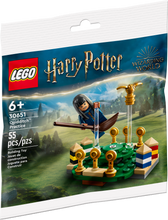 30651 Quidditch™ Practice