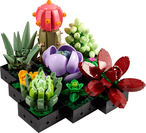 10309 Succulents - certified (used) in white box