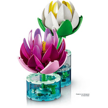 11511 Water Lilies