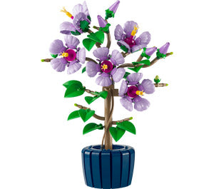 10372 Hibiscus
