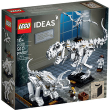 21320 Dinosaur Fossils, retired, New - Open Box