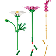 11514 Cosmos Flowers