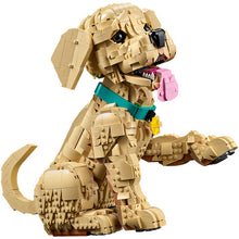11384 Golden Retriever Puppy