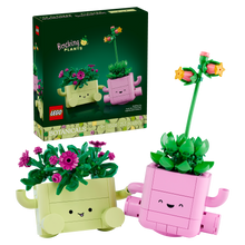 11506 Rocking Plants