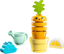 LEGO DUPLO 10981