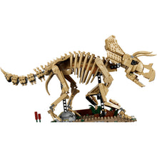 77985 Dinosaur Fossils: Triceratops