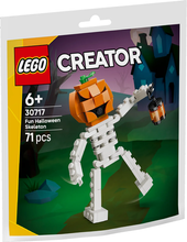 30717 Fun Halloween Skeleton