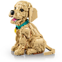 11384 Golden Retriever Puppy