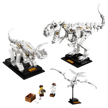 21320 Dinosaur Fossils, retired, New - Open Box