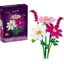 11514 Cosmos Flowers