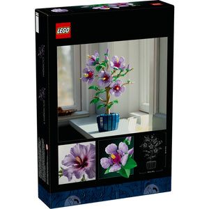 10372 Hibiscus