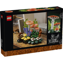 11505 Woodland Mushrooms