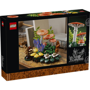 11505 Woodland Mushrooms