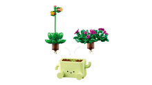 11506 Rocking Plants
