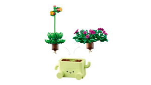 11506 Rocking Plants