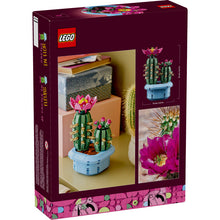 11509 Flowering Cactus