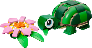 31377 Turtle with a Water Lily Flower