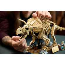 77985 Dinosaur Fossils: Triceratops