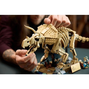 77985 Dinosaur Fossils: Triceratops