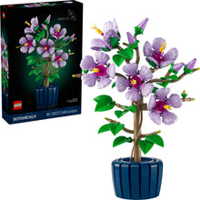 10372 Hibiscus