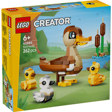 40885 Duck Family