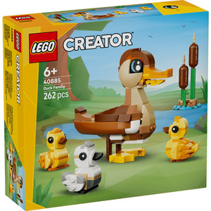 40885 Duck Family