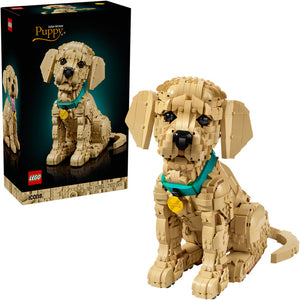 11384 Golden Retriever Puppy