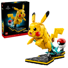 72152 Pikachu and Poké Ball