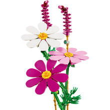 11514 Cosmos Flowers