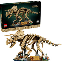 77985 Dinosaur Fossils: Triceratops