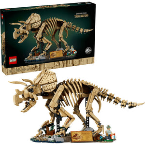 77985 Dinosaur Fossils: Triceratops