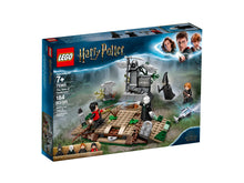 75965 The Rise of Voldemort