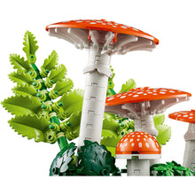 11505 Woodland Mushrooms