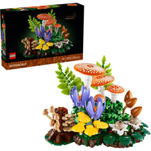11505 Woodland Mushrooms
