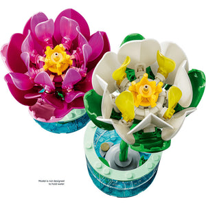11511 Water Lilies
