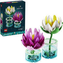 11511 Water Lilies