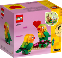 40522 Valentine Lovebirds