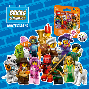 71052 Series 29 random box