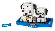 Dalmation -  Pets