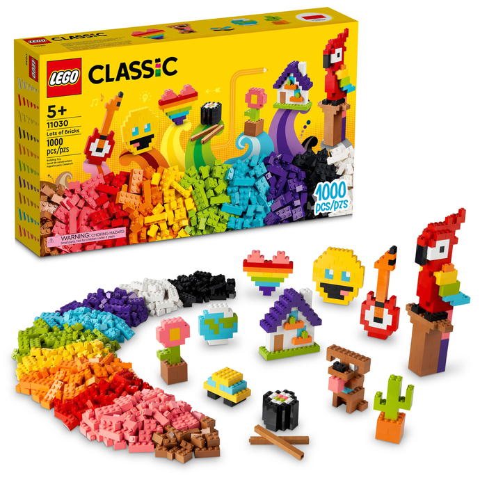 11030 Lots of Bricks