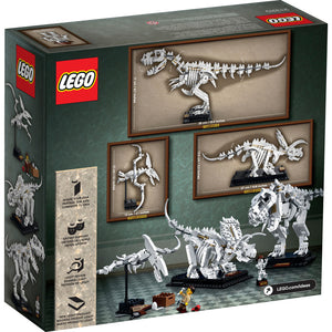 21320 Dinosaur Fossils, retired, New - Open Box