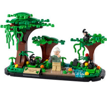 40530 Jane Goodall Tribute