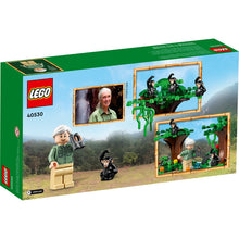 40530 Jane Goodall Tribute