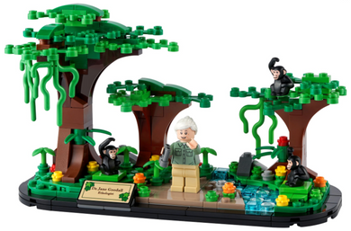 40530 Jane Goodall Tribute
