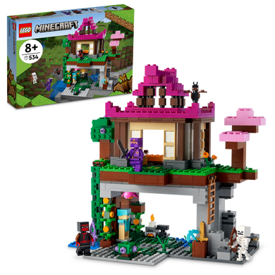 The Training Grounds LEGO 21183 Minecraft